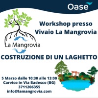 Leggi tutto il messaggio: Invito al Corso sul Laghetto - 5 marzo 2022 - Bergamo