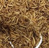 Hermetia illucens-Larva essiccata di mosca soldato