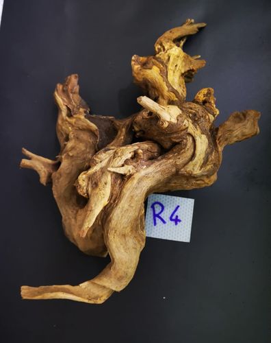manila wood  cod R4 52cm (foto reale)