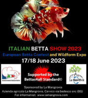 Leggi tutto il messaggio: European Show Betta Competition in Italy 17/18 June 2023