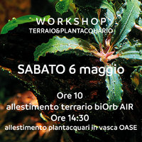Leggi tutto il messaggio: Giornata di aquascaping in vivaio con Oase Italia - Sabato 6 Maggio, Carvico (Bergamo)