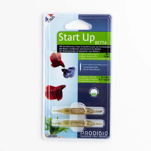 Start Up Betta Prodibio (biocondizionatore e batteri per pesci Combattenti)