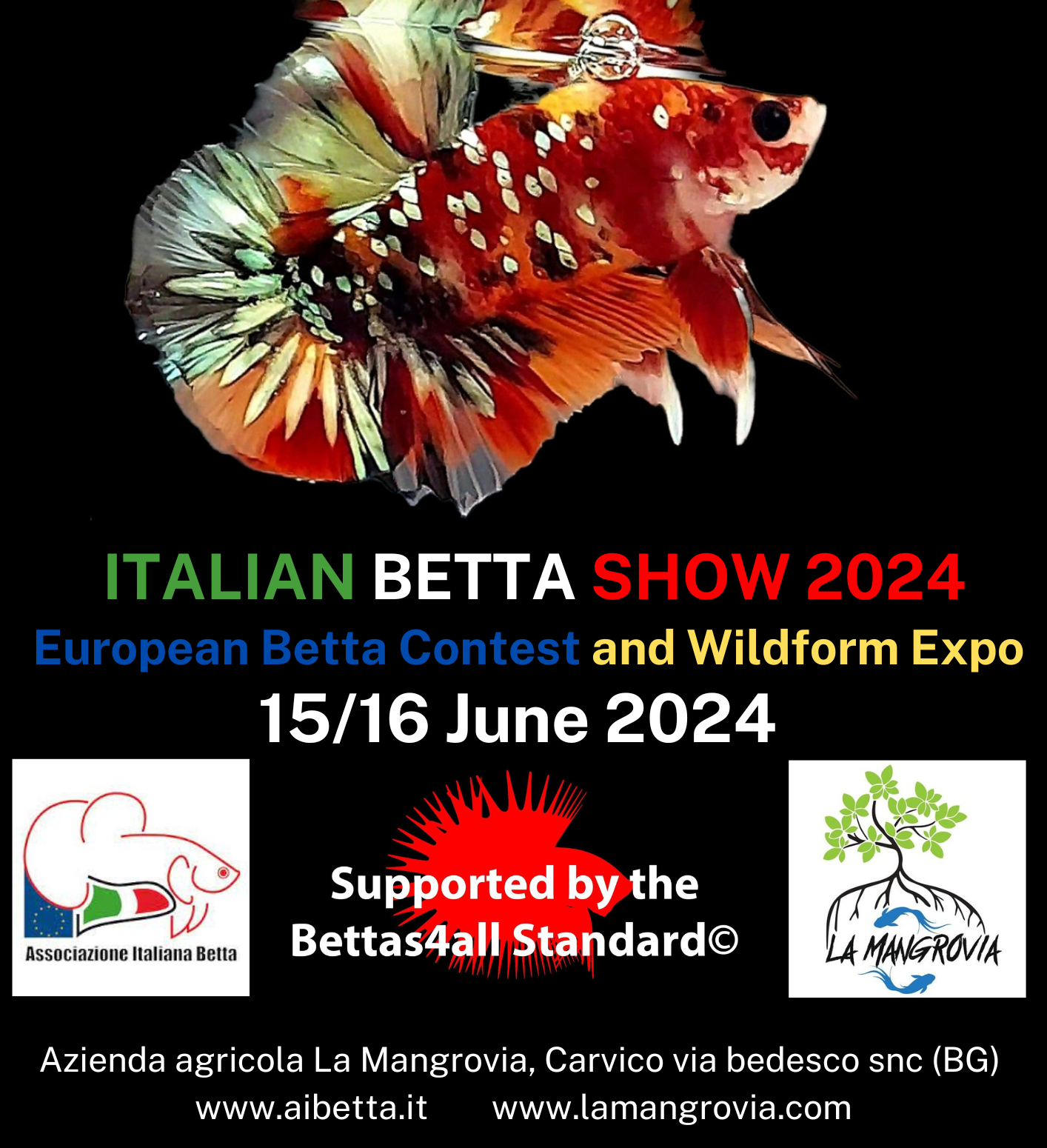 poster_italian_betta_show_2024